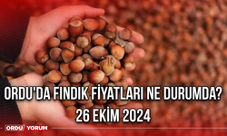 Ordu'da fındık fiyatları ne durumda? 26 Ekim 2024