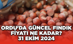 Ordu'da güncel fındık fiyatı ne kadar? 31 Ekim 2024