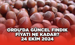 Ordu'da güncel fındık fiyatı ne kadar? 24 Ekim 2024