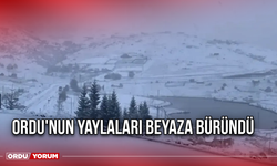 Ordu'nun Yaylaları Beyaza Büründü