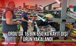 Ordu’da 16 bin 650 kg Kayıt Dışı Ürün Yakalandı