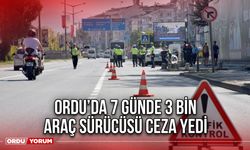 Ordu’da 7 Günde 3 Bin Araç Sürücüsü Ceza Yedi