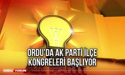 Ordu'da Ak Parti İlçe Kongreleri Başlıyor