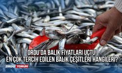 Ordu'da balık fiyatları uçtu! En çok tercih edilen balık çeşitleri hangileri?