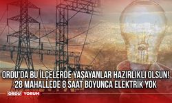 Ordu'da bu ilçelerde yaşayanlar hazırlıklı olsun! 28 mahallede 8 saat boyunca elektrik yok