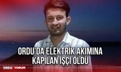 Ordu'da elektrik akımına kapılan işçi öldü