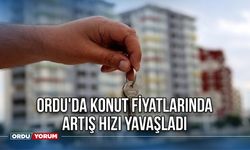 Ordu'da Konut Fiyatlarında Artış Hızı Yavaşladı