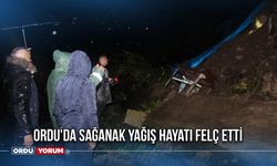 Ordu'da sağanak yağış hayatı felç etti