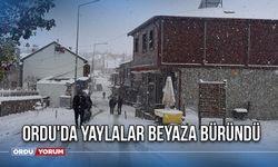 Ordu'da yaylalar beyaza büründü