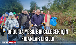 Ordu'da Yeşil Bir Gelecek İçin Fidanlar Dikildi