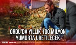 Ordu’da Yıllık 100 Milyon Yumurta Üretilecek