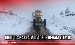 Ordu’da Karla Mücadele Devam Ediyor