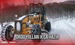 Ordu Yolları Kışa Hazır