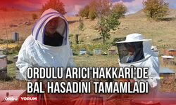 Ordulu Arıcı Hakkari’de Bal Hasadını Tamamladı