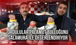 Ordulular Palamut Bolluğunu Salamura İle Değerlendiriyor