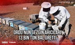 Ordu’nun Gezgin Arıcıları 13 Bin Ton Bal üretti