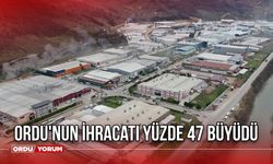 Ordu'nun ihracatı yüzde 47 büyüdü