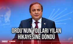 Ordu’nun Yolları Yılan Hikayesine Döndü