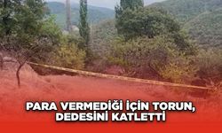 Para Vermediği İçin Torun, Dedesini Katletti