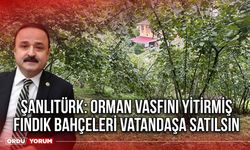 Şanlıtürk: Orman Vasfını Yitirmiş Fındık Bahçeleri Vatandaşa Satılsın