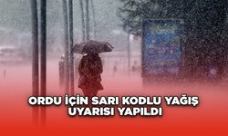 Ordu İçin Sarı Kodlu Yağış Uyarısı Yapıldı