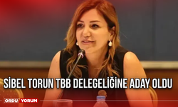 Sibel Torun TBB Delegeliğine Aday Oldu