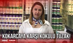 Kokarcaya Karşı Kokulu Tuzak!