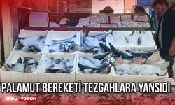 Palamut Bereketi Tezgahlara Yansıdı