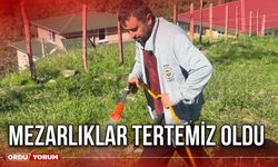 Mezarlıklar Tertemiz Oldu