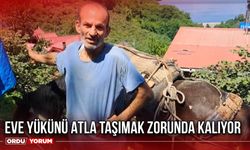 Eve Yükünü Atla Taşımak Zorunda Kalıyor