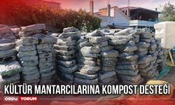 Kültür Mantarcılarına Kompost Desteği