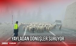 Yayladan Dönüşler Sürüyor