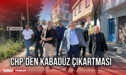 CHP’den Kabadüz Çıkartması