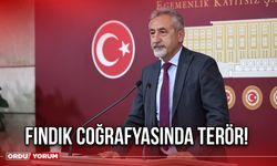 Fındık Coğrafyasında Terör!