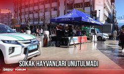 SOKAK HAYVANLARI UNUTULMADI