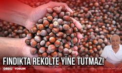 Fındıkta Rekolte Yine Tutmaz!