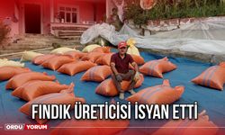 Fındık Üreticisi İsyan Etti