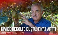 Kivide Rekolte Düştü, Fiyat Arttı