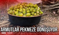 Armutlar Pekmeze Dönüşüyor