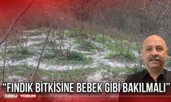 “Fındık Bitkisine Bebek Gibi Bakılmalı”