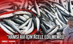 “Hamsi Avı İçin Acele Edilmemeli”