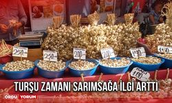 Turşu Zamanı Sarımsağa İlgi Arttı