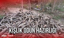 Kışlık Odun Hazırlığı