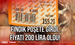 Fındık Poşete Girdi, Fiyatı 200 Lira Oldu!