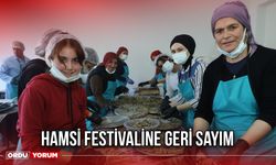 Hamsi Festivaline Geri Sayım