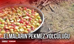 Elmaların Pekmez Yolculuğu