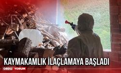 Kaymakamlık İlaçlamaya Başladı