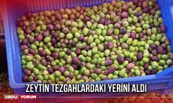 Zeytin Tezgahlardaki Yerini Aldı