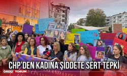 CHP’den Kadına Şiddete Sert Tepki