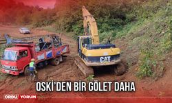 OSKİ’den Bir Gölet Daha